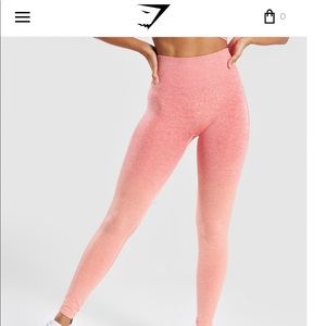 Gym shark ombré seamless